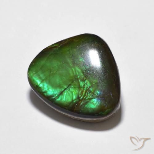 Ammolite Multicolore naturale da 10.69 ct, Taglio a fantasia, Opaco