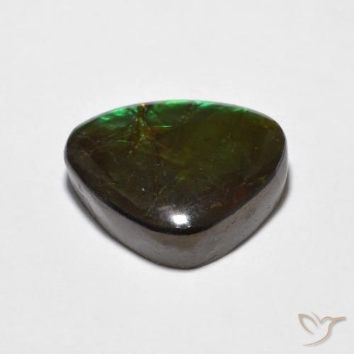 Ammolite Multicolore naturale da 10.69 ct, Taglio a fantasia, Opaco