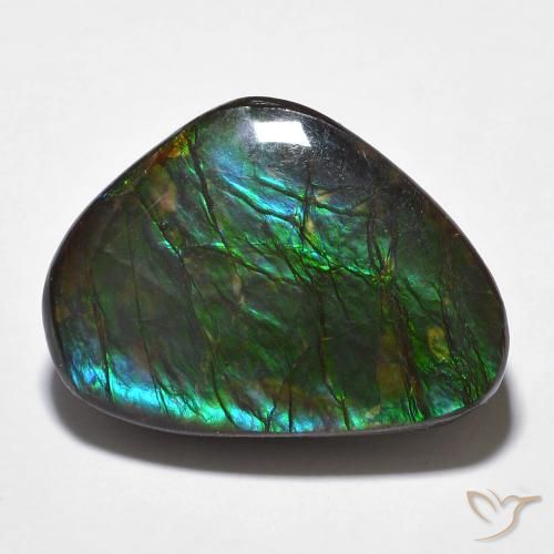 14.68ct Naturale Multicolore Ammolite, Taglio a fantasia, Opaco