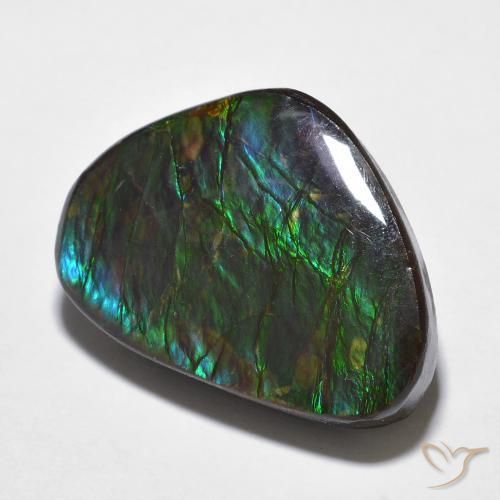 Ammolite Multicolore naturale da 14.68 ct, Taglio a fantasia, Opaco