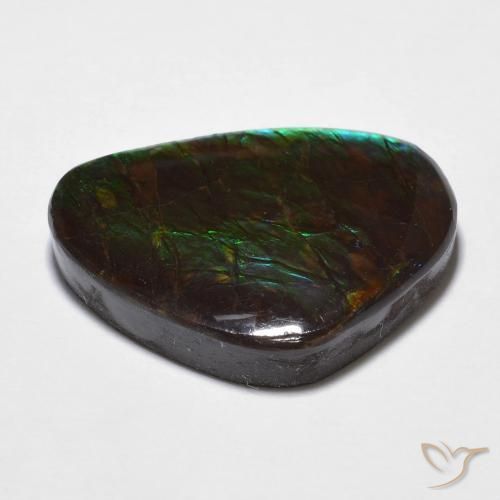 Ammolite Multicolore naturale da 14.68 ct, Taglio a fantasia, Opaco