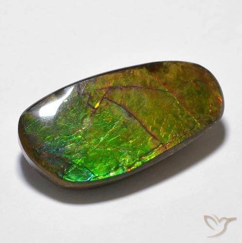 14.29ct Naturale Multicolore Ammolite, Taglio a fantasia, Opaco