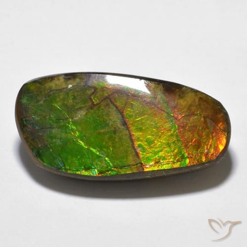 Ammolite Multicolore naturale da 14.29 ct, Taglio a fantasia, Opaco