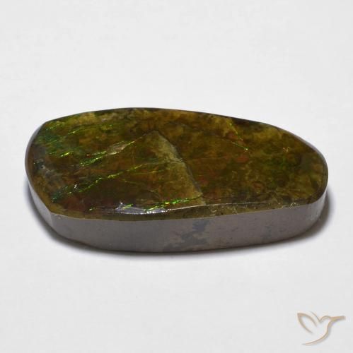 Ammolite Multicolore naturale da 14.29 ct, Taglio a fantasia, Opaco