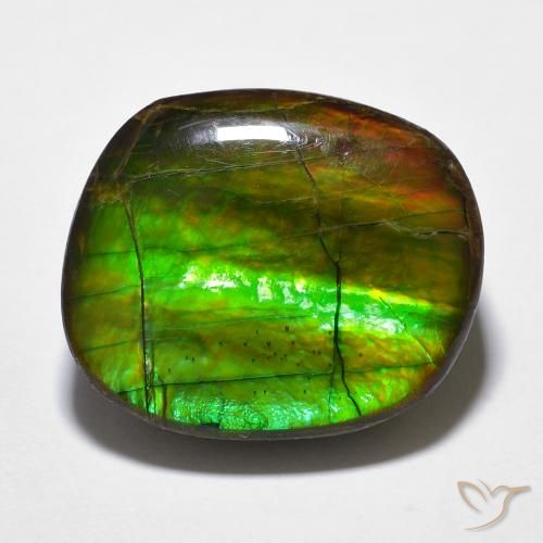 15.59ct Naturale Multicolore Ammolite, Taglio a fantasia, Opaco