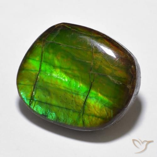 Ammolite Multicolore naturale da 15.59 ct, Taglio a fantasia, Opaco
