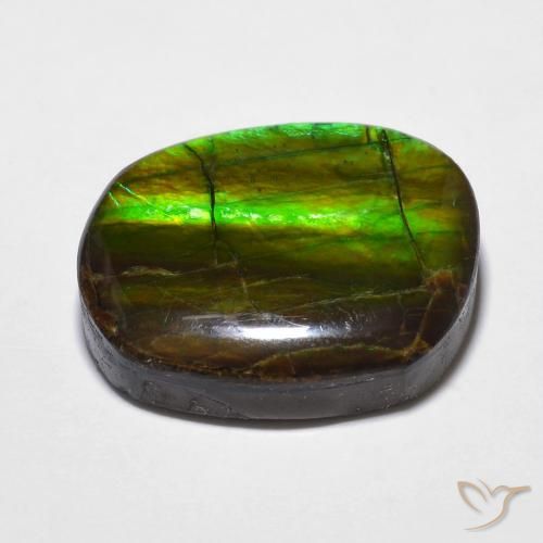 Ammolite Multicolore naturale da 15.59 ct, Taglio a fantasia, Opaco