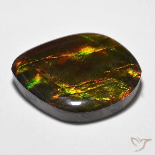 Ammolite Multicolore naturale da 23.51 ct, Taglio a fantasia, Opaco