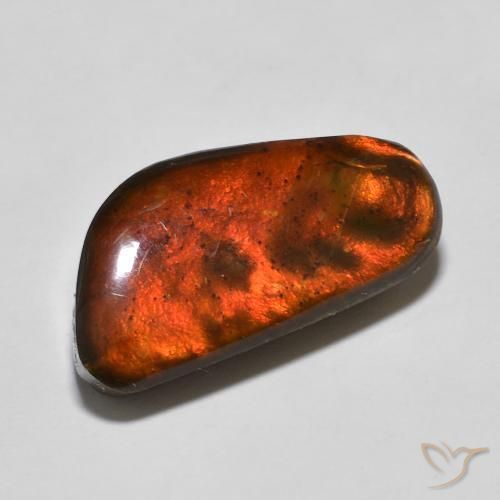 Ammolite Multicolore naturale da 10.53 ct, Taglio a fantasia, Opaco