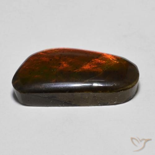 Ammolite Multicolore naturale da 10.53 ct, Taglio a fantasia, Opaco