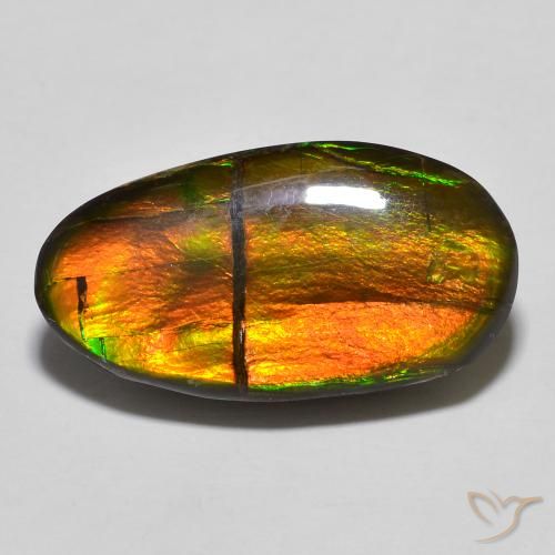 11.32ct Naturale Multicolore Ammolite, Taglio a fantasia, Opaco