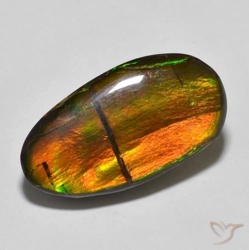 Ammolite Multicolore naturale da 11.32 ct, Taglio a fantasia, Opaco