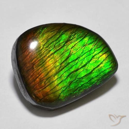 12.97ct Naturale Multicolore Ammolite, Taglio a fantasia, Opaco