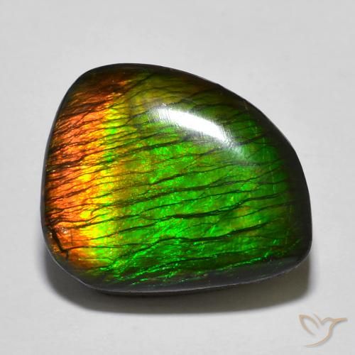 Ammolite Multicolore naturale da 12.97 ct, Taglio a fantasia, Opaco