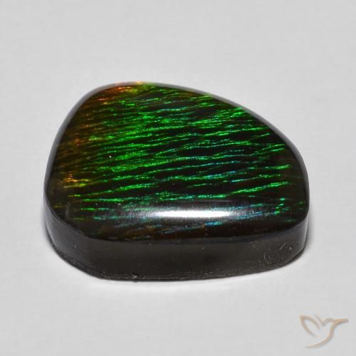 Ammolite Multicolore naturale da 12.97 ct, Taglio a fantasia, Opaco