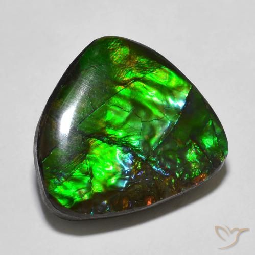 13.78ct Naturale Multicolore Ammolite, Taglio a fantasia, Opaco