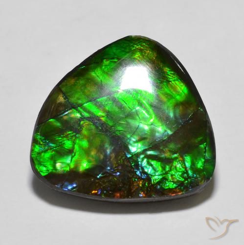 Ammolite Multicolore naturale da 13.78 ct, Taglio a fantasia, Opaco