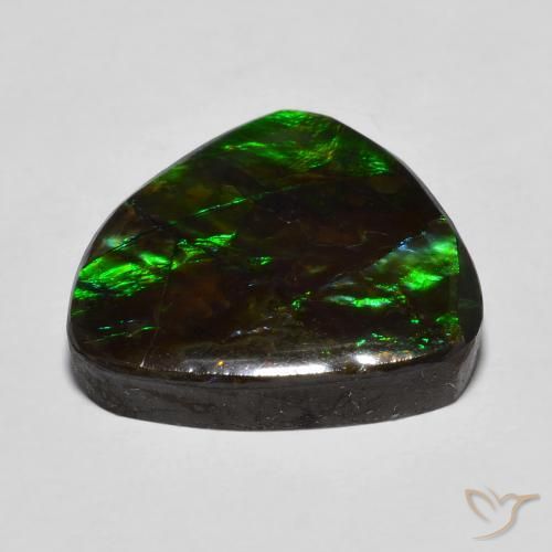 Ammolite Multicolore naturale da 13.78 ct, Taglio a fantasia, Opaco