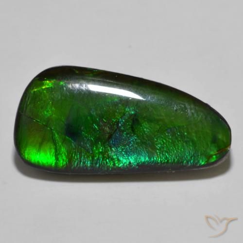 11.49ct Naturale Multicolore Ammolite, Taglio a fantasia, Opaco