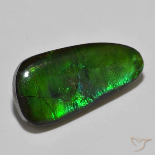 Ammolite Multicolore naturale da 11.49 ct, Taglio a fantasia, Opaco