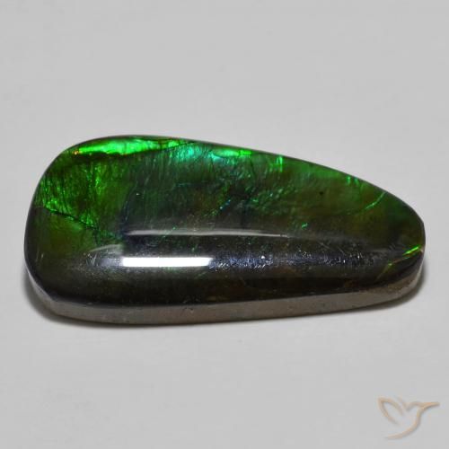 Ammolite Multicolore naturale da 11.49 ct, Taglio a fantasia, Opaco