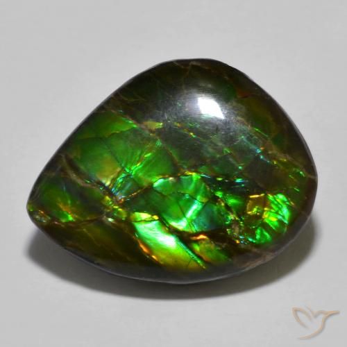12.91ct Naturale Multicolore Ammolite, Taglio a fantasia, Opaco