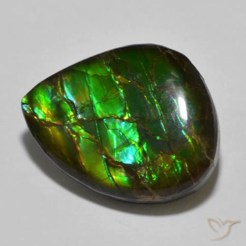 Ammolite Multicolore naturale da 12.91 ct, Taglio a fantasia, Opaco