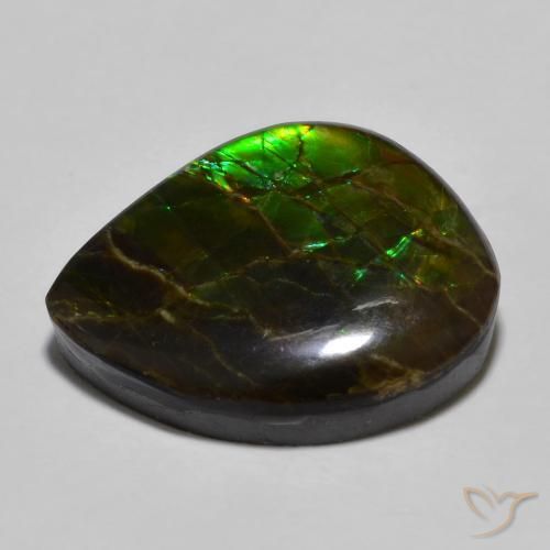 Ammolite Multicolore naturale da 12.91 ct, Taglio a fantasia, Opaco