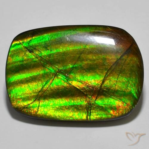 19.01ct Naturale Multicolore Ammolite, Taglio a fantasia, Opaco