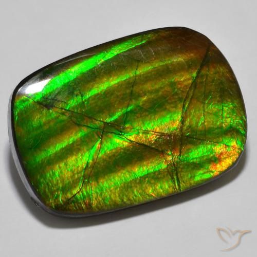 Ammolite Multicolore naturale da 19.01 ct, Taglio a fantasia, Opaco