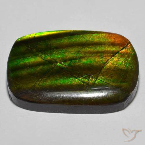 Ammolite Multicolore naturale da 19.01 ct, Taglio a fantasia, Opaco