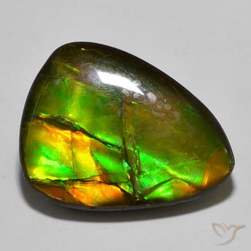 Ammolite Multicolore naturale da 16.39 ct, Forma a pera, Opaco