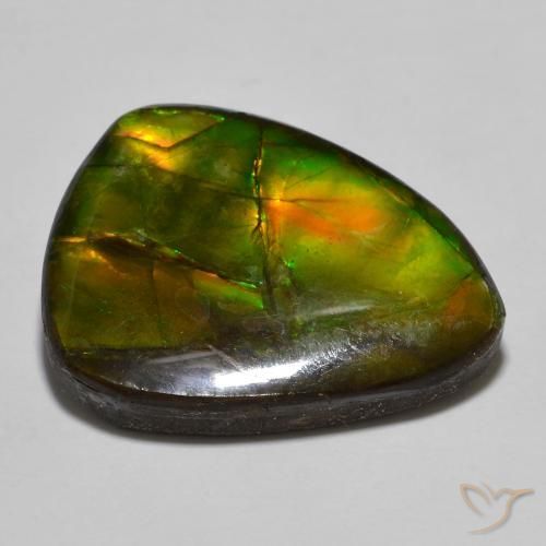 Ammolite Multicolore naturale da 16.39 ct, Forma a pera, Opaco