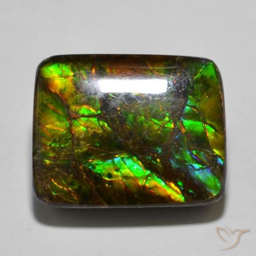 16.01ct Naturale Multicolore Ammolite, Cuscino, Opaco