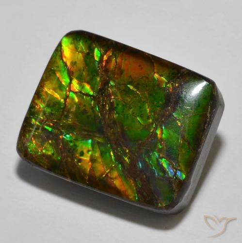 Ammolite Multicolore naturale da 16.01 ct, Cuscino, Opaco