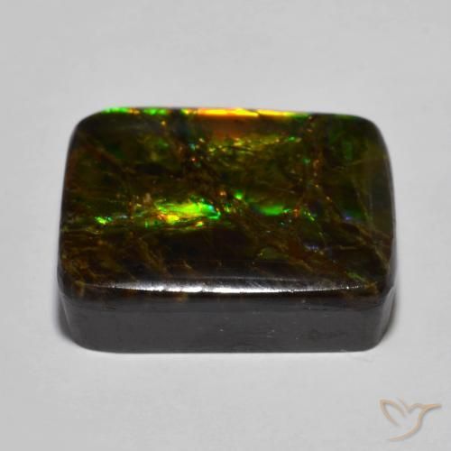 Ammolite Multicolore naturale da 16.01 ct, Cuscino, Opaco