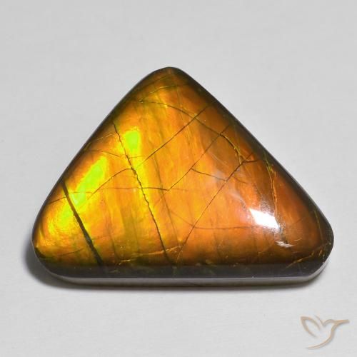 13.83ct Naturale Multicolore Ammolite, Taglio a fantasia, Opaco