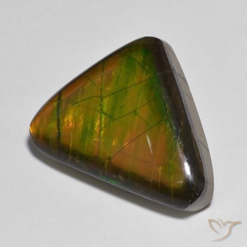 Ammolite Multicolore naturale da 13.83 ct, Taglio a fantasia, Opaco