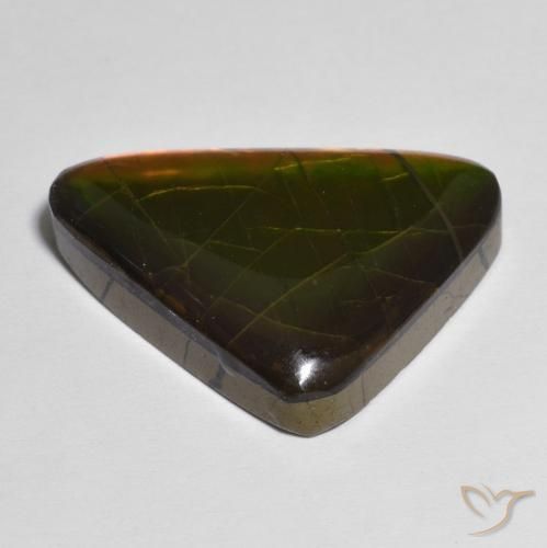Ammolite Multicolore naturale da 13.83 ct, Taglio a fantasia, Opaco