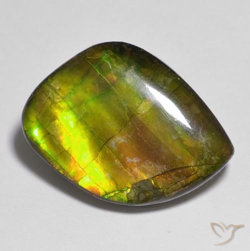 15.05ct Naturale Multicolore Ammolite, Taglio a fantasia, Opaco