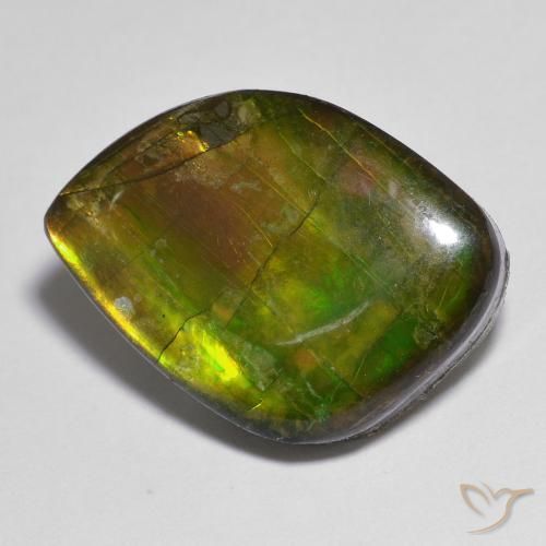 Ammolite Multicolore naturale da 15.05 ct, Taglio a fantasia, Opaco