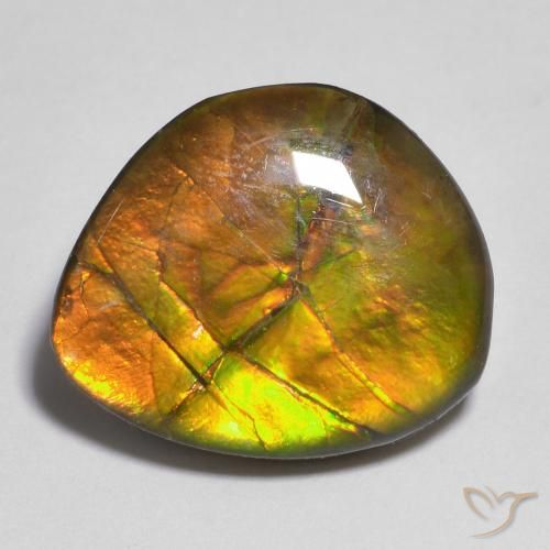 10.33ct Naturale Multicolore Ammolite, Taglio a fantasia, Opaco
