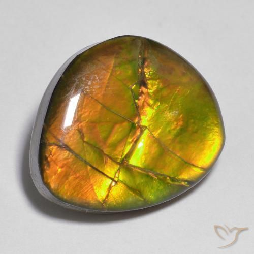 Ammolite Multicolore naturale da 10.33 ct, Taglio a fantasia, Opaco