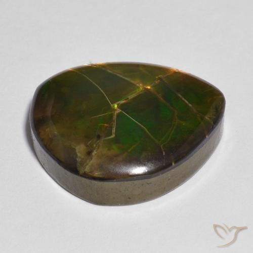Ammolite Multicolore naturale da 10.33 ct, Taglio a fantasia, Opaco