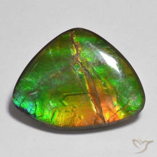 17.37ct Naturale Multicolore Ammolite, Taglio a fantasia, Opaco