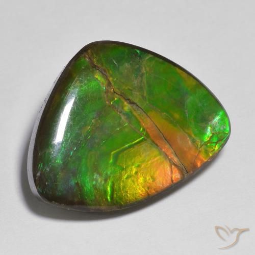 Ammolite Multicolore naturale da 17.37 ct, Taglio a fantasia, Opaco