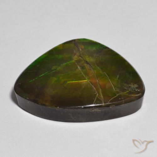 Ammolite Multicolore naturale da 17.37 ct, Taglio a fantasia, Opaco