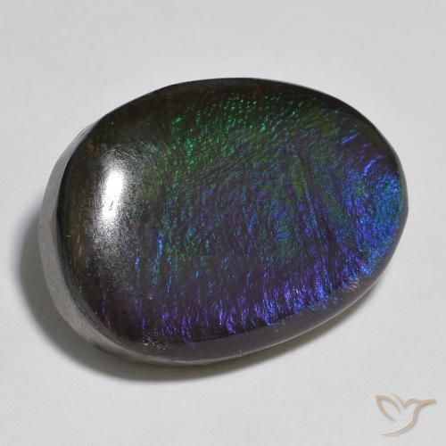 Ammolite Multicolore naturale da 13.91 ct, Taglio a fantasia, Opaco