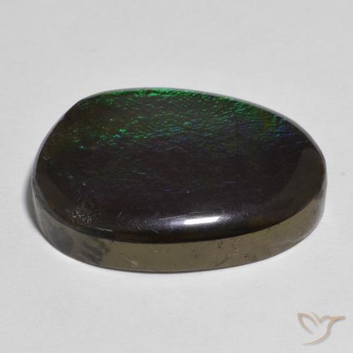 Ammolite Multicolore naturale da 13.91 ct, Taglio a fantasia, Opaco