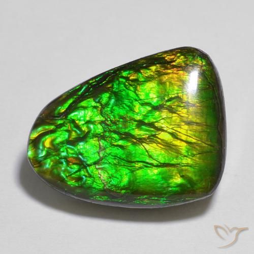 12.13ct Naturale Multicolore Ammolite, Taglio a fantasia, Opaco